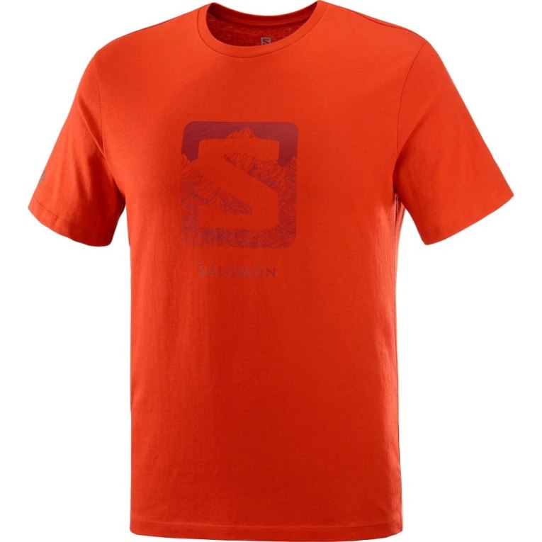 Salomon Outlife Logo Kratke Sleeve Tricko Panske Oranžové | SK 2BJNTK